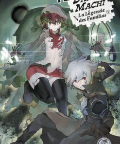 Vol.12 DanMachi  La Légende des Familias - Light Novel